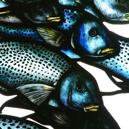 Plants: image 3 0f 4 thumb